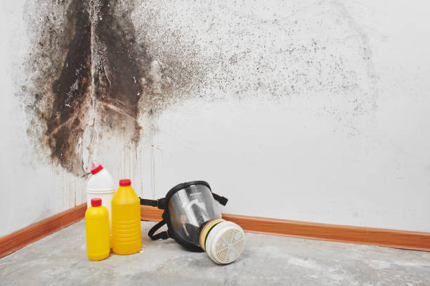 Best Biohazard Mold Removal  in Mccoll, SC